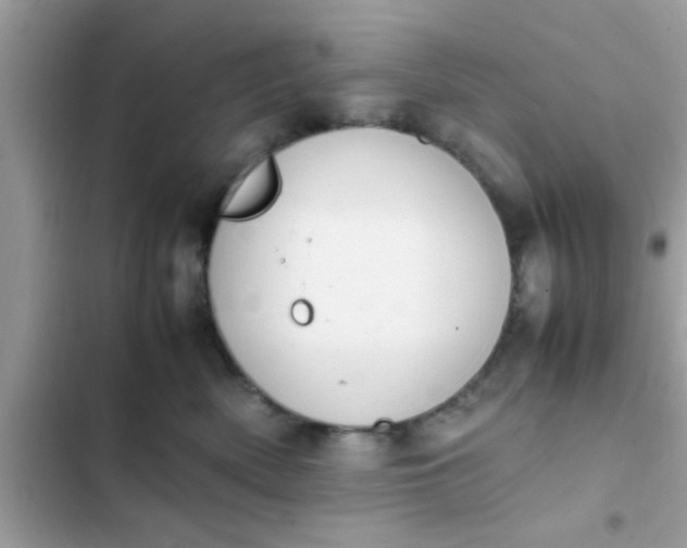 X0000102390522200808151923