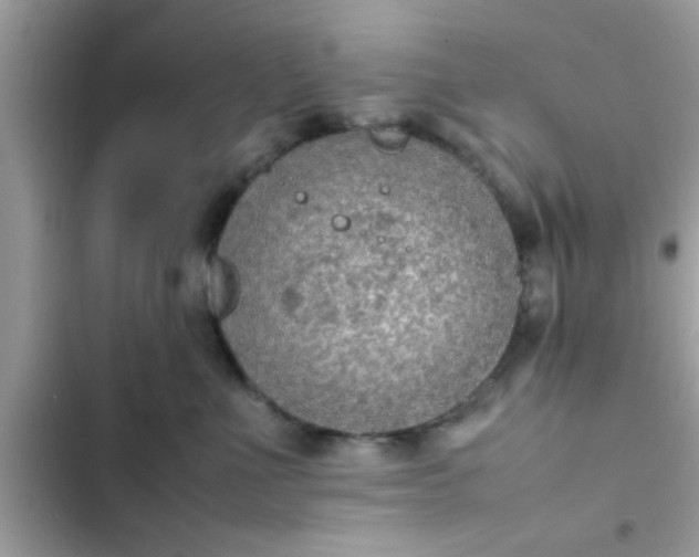 X0000102390523200808151923