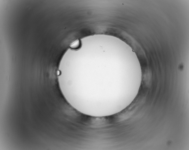 X0000102390525200808151923