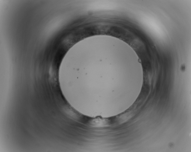 X0000102390526200808151923