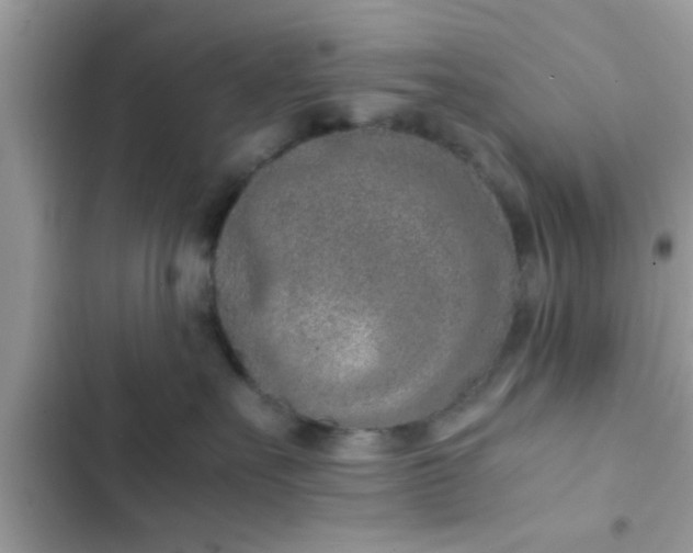 X0000102390527200808151923