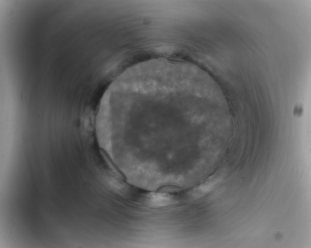 X0000102390528200808151923