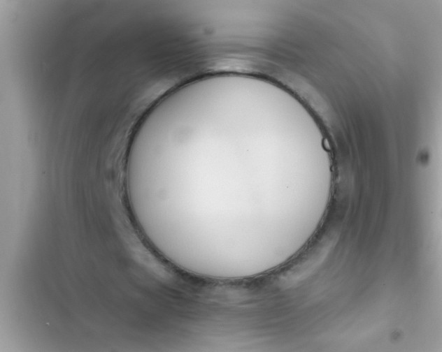 X0000102390529200808151923