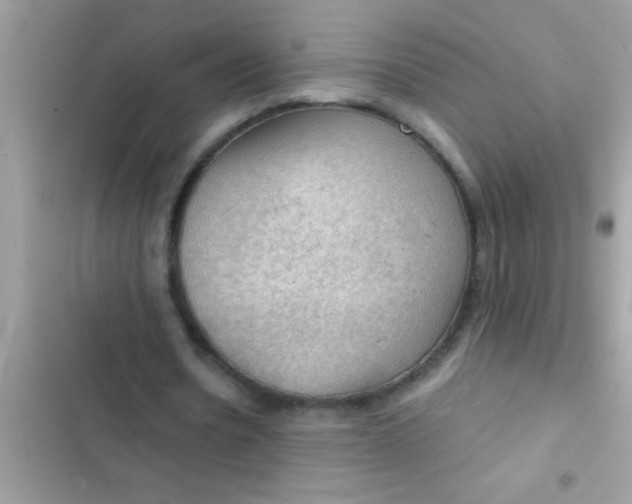 X0000102390530200808151923