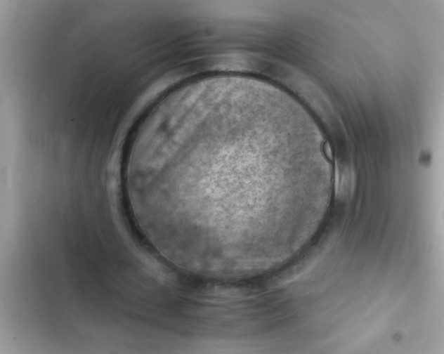 X0000102390531200808151923