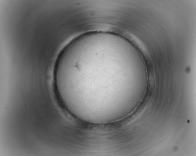 X0000102390532200808151923