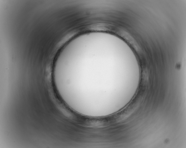 X0000102390533200808151923