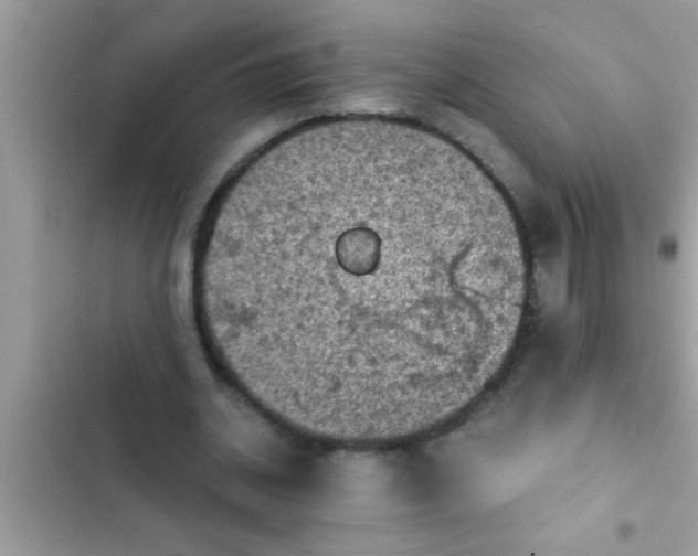 X0000102390534200808151923