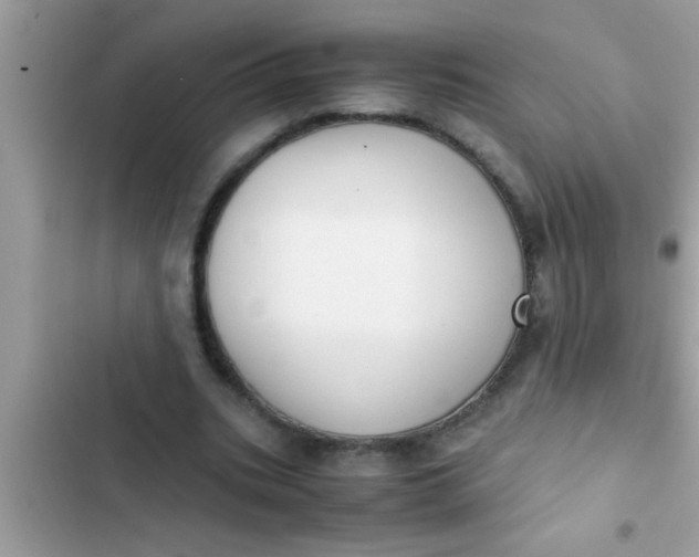 X0000102390535200808151923