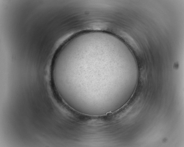 X0000102390536200808151923