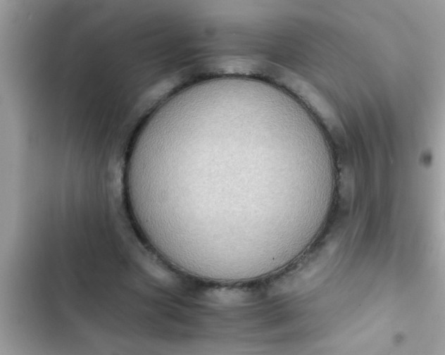 X0000102390537200808151923