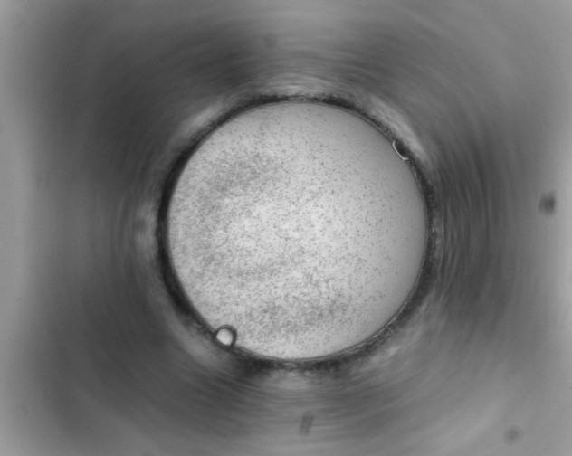 X0000102390538200808151923