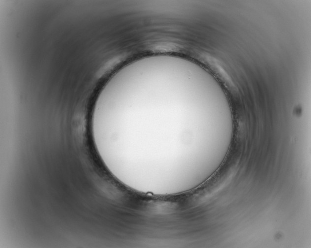 X0000102390539200808151923