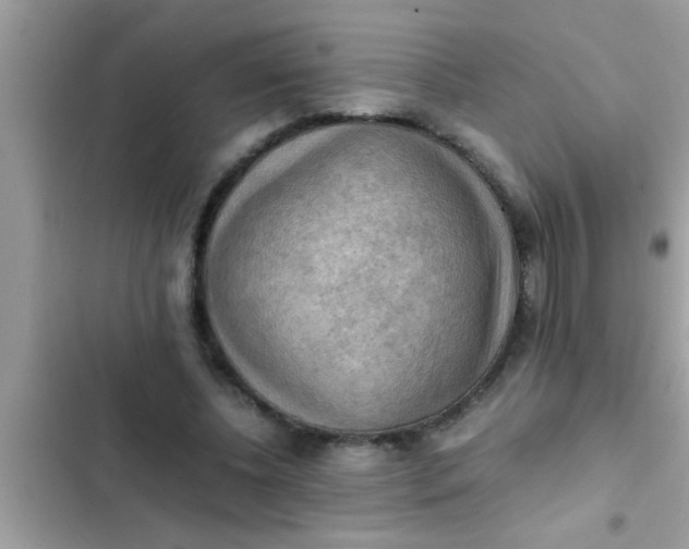 X0000102390540200808151923