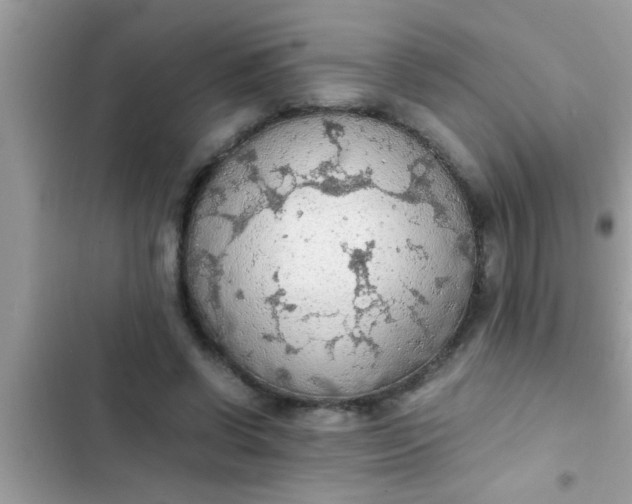 X0000102390542200808151923