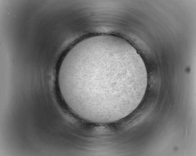 X0000102390544200808151923