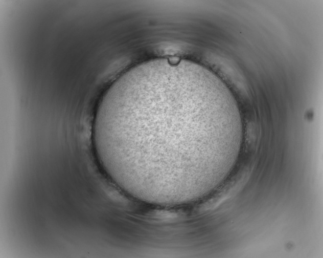 X0000102390545200808151923