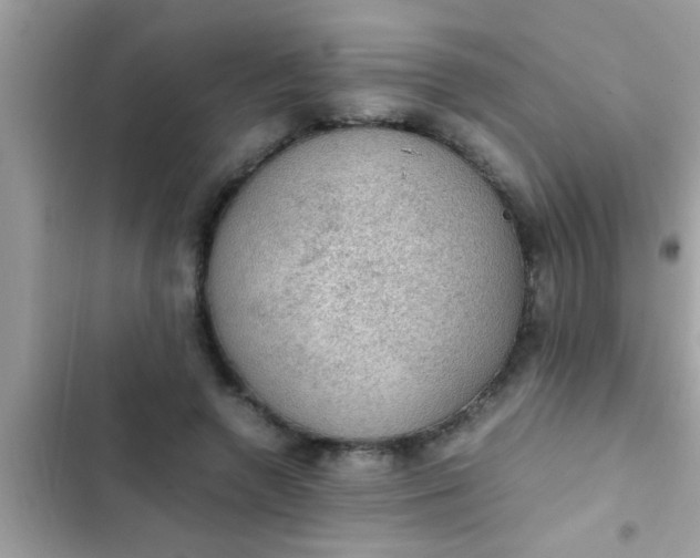 X0000102390546200808151923