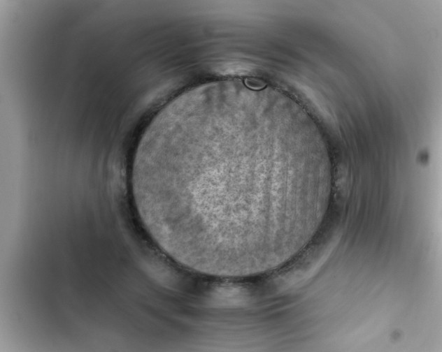 X0000102390547200808151923