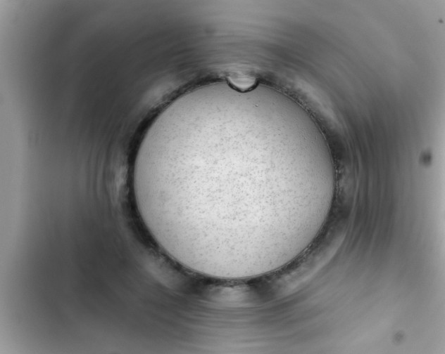 X0000102390548200808151923