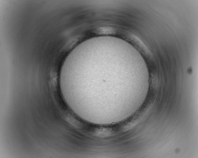 X0000102390549200808151923