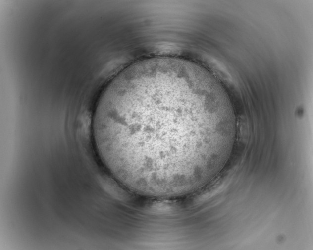 X0000102390550200808151923