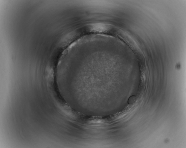 X0000102390551200808151923