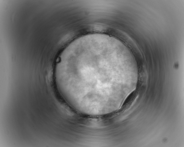 X0000102390552200808151923