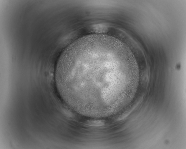 X0000102390553200808151923