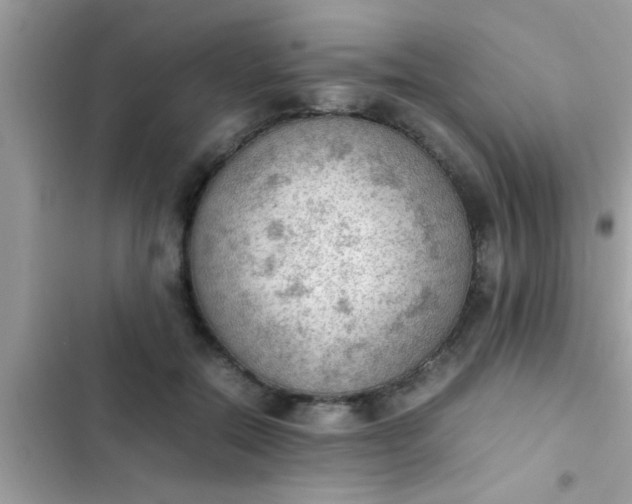 X0000102390554200808151923