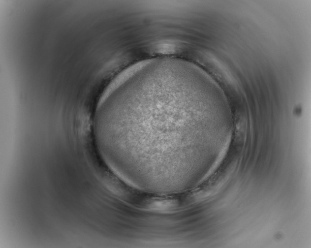 X0000102390555200808151923