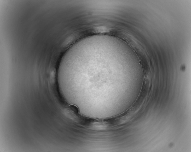 X0000102390556200808151923