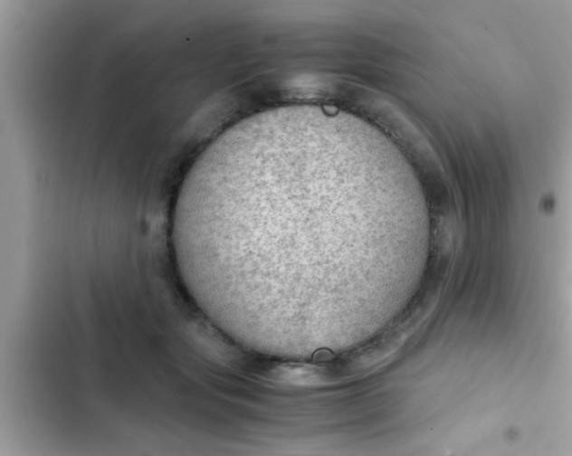 X0000102390557200808151923