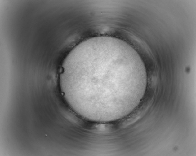 X0000102390558200808151923