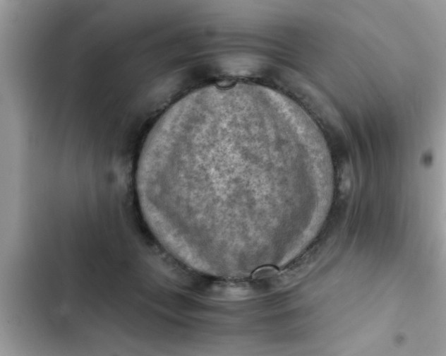 X0000102390559200808151923