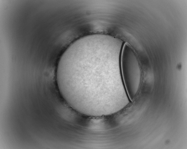 X0000102390560200808151923