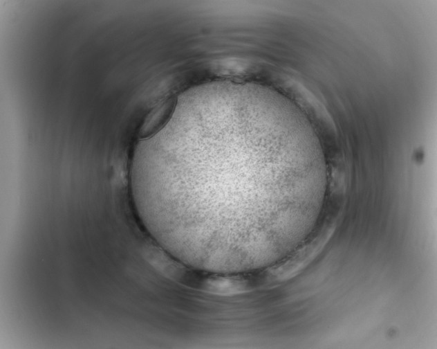 X0000102390561200808151923