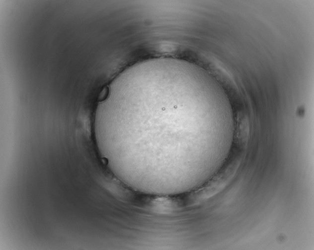 X0000102390562200808151923