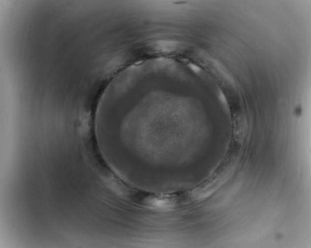 X0000102390563200808151923