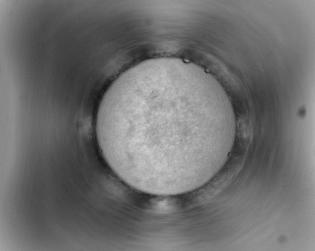 X0000102390564200808151923