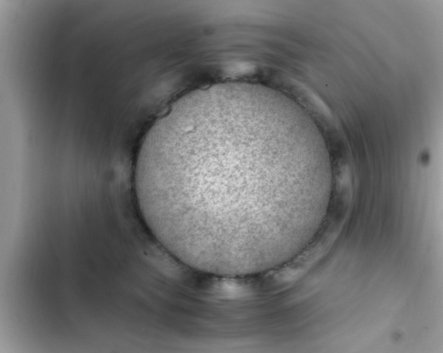 X0000102390565200808151923