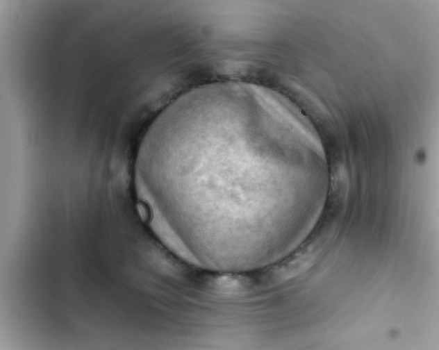 X0000102390566200808151923