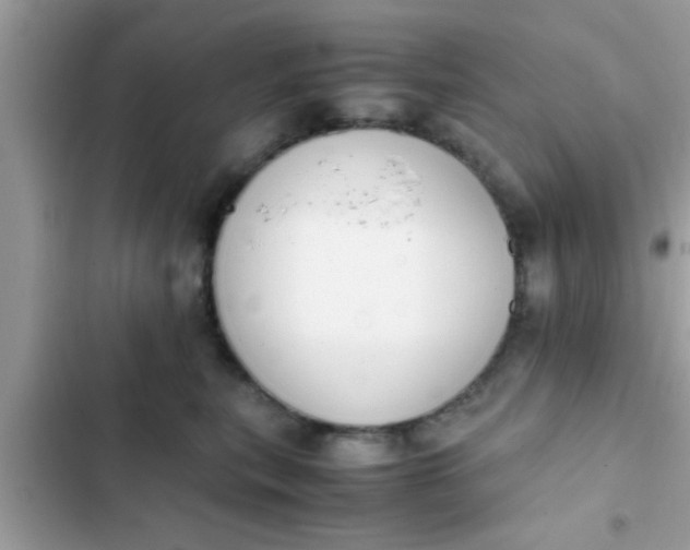 X0000102390567200808151923