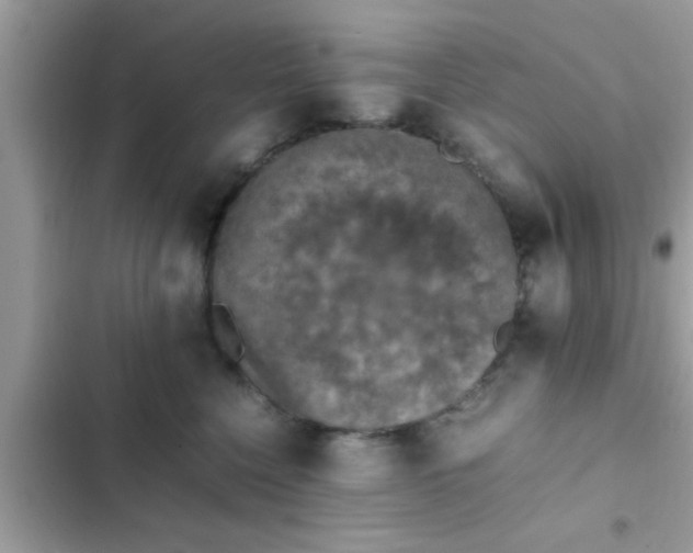 X0000102390568200808151923