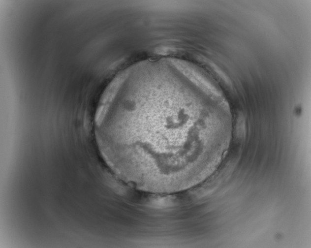 X0000102390569200808151923