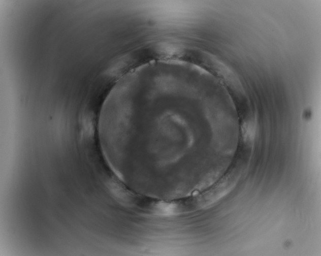 X0000102390570200808151923