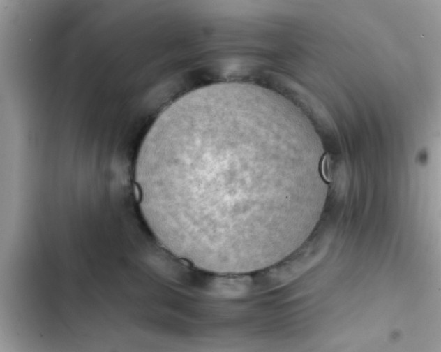 X0000102390571200808151923