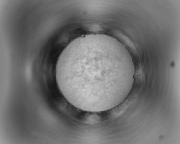 X0000102390572200808151923