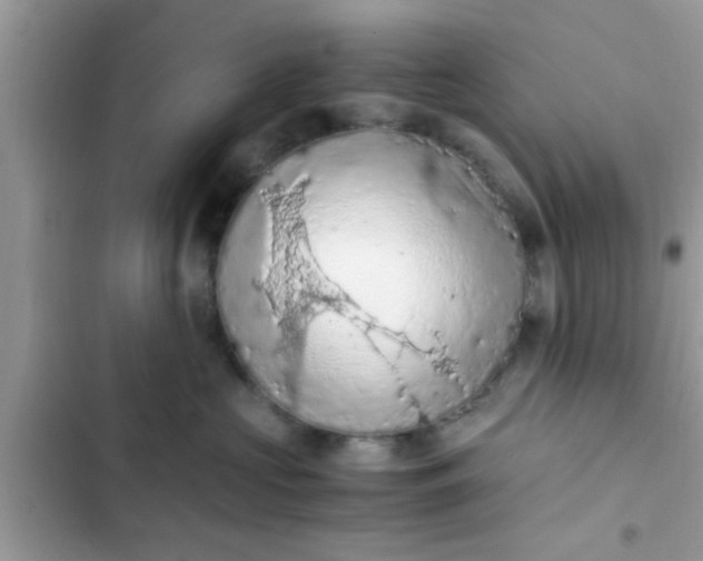 X0000102390573200808151923