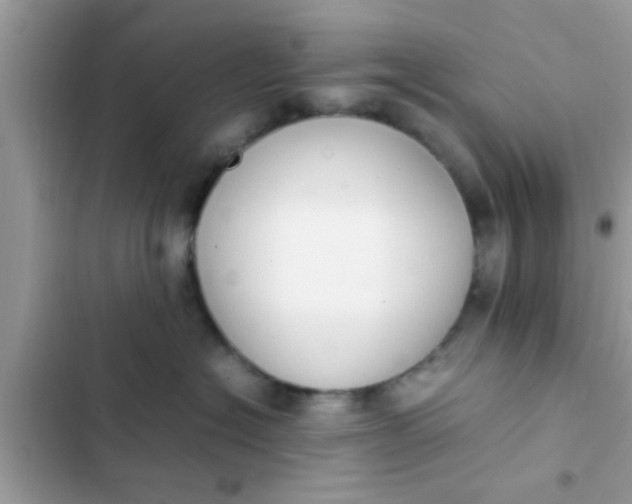 X0000102390574200808151923